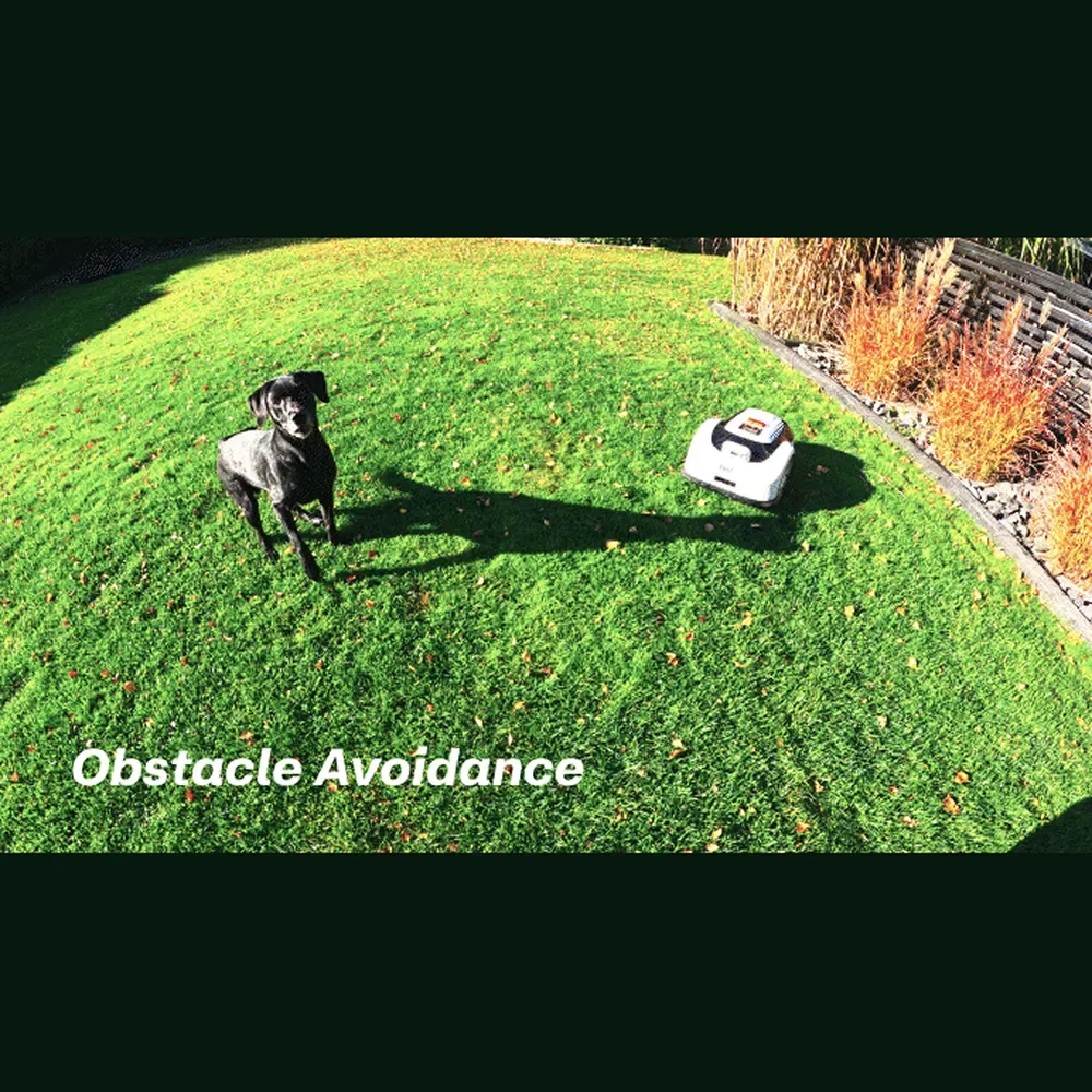 Obstacle Avoidance.webp