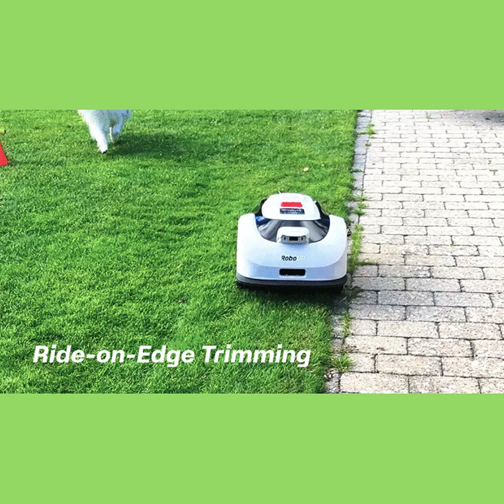 Ride-on-edge .webp