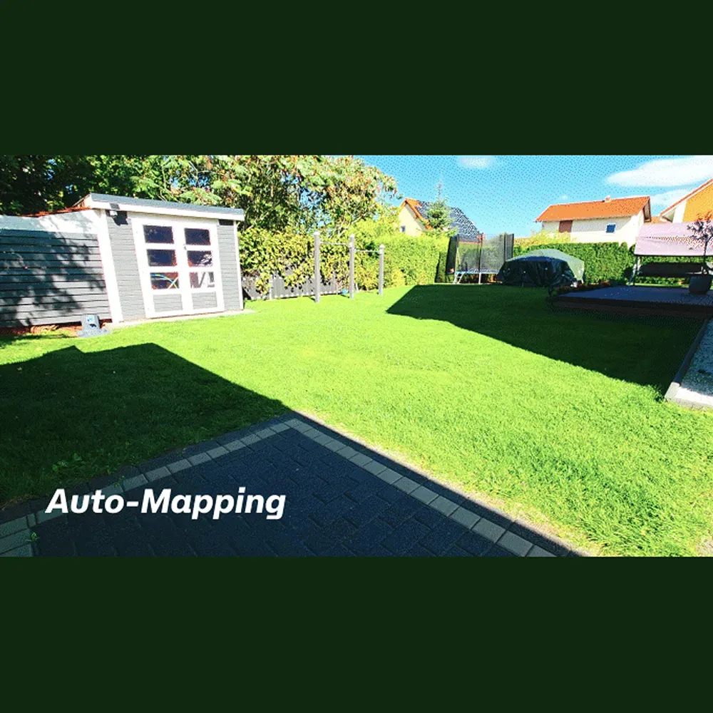 Auto Mapping.webp