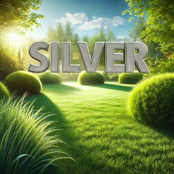 Silver Trygghetsabonnemang månadsvis Skåne