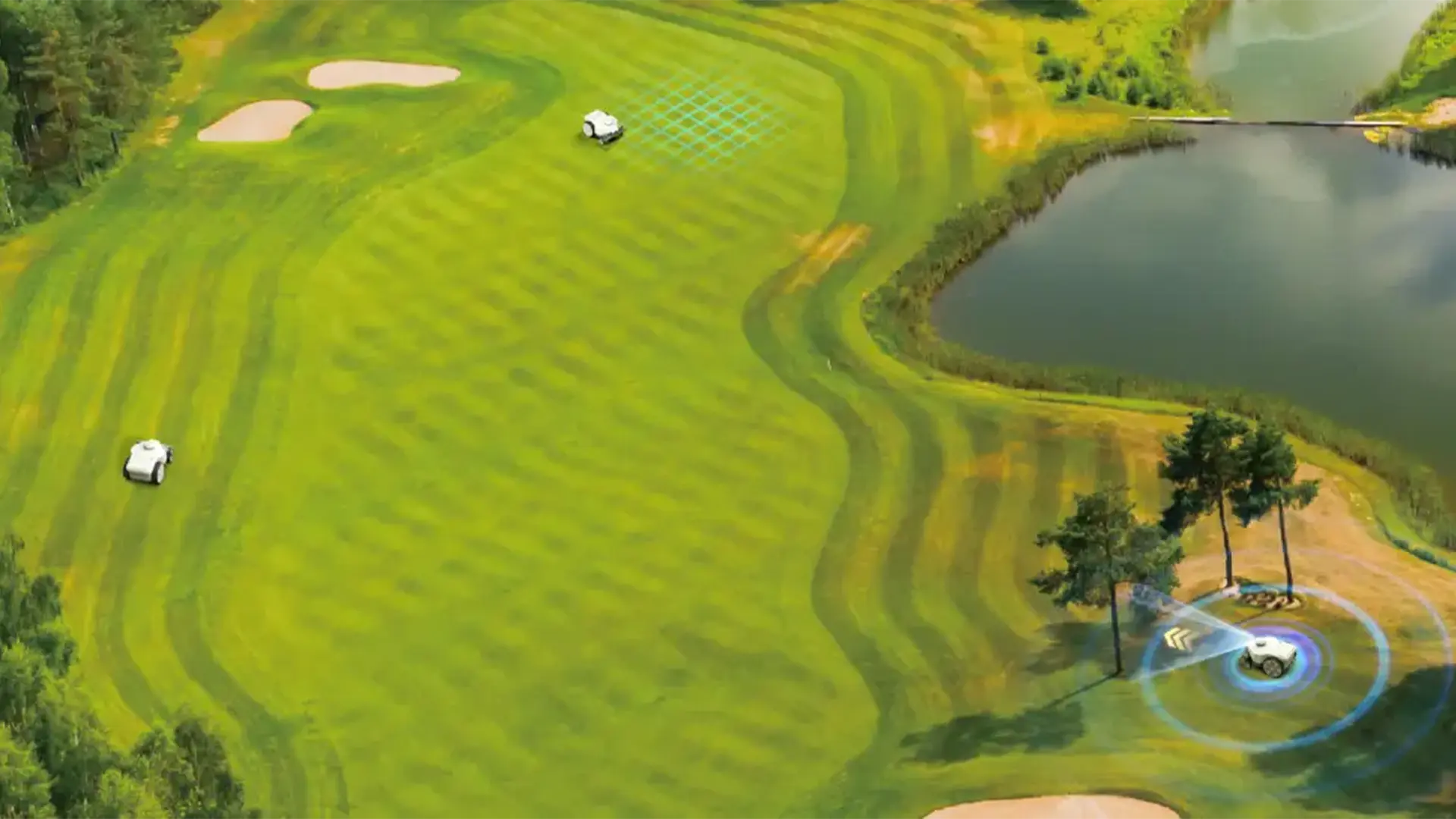 FJD FRX klipper golfbana